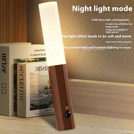 Night Light LED Magnetic Motion Sensor